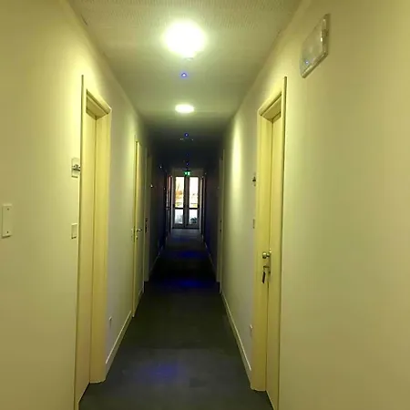 Paradiso 3*